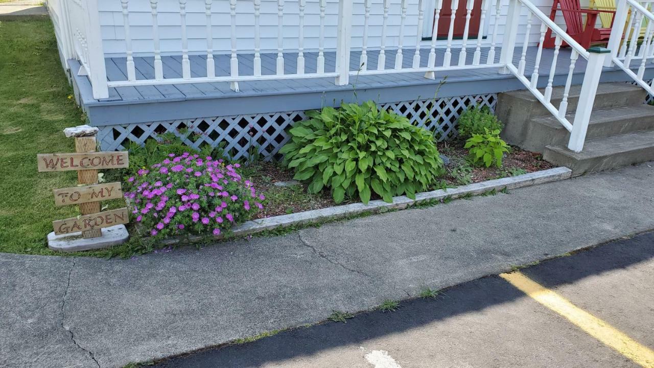 Hillside B&B Twillingate Exterior photo